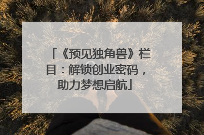 《预见独角兽》栏目：解锁创业密码，助力梦想启航