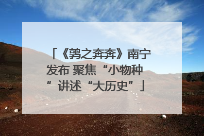 《鹑之奔奔》南宁发布 聚焦“小物种”讲述“大历史”