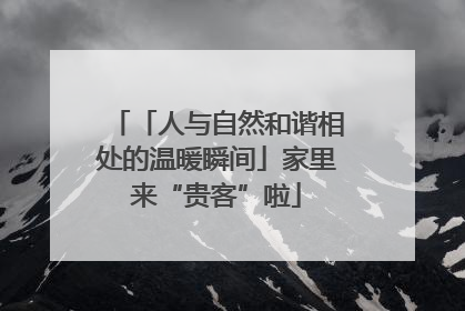 「人与自然和谐相处的温暖瞬间」家里来“贵客”啦