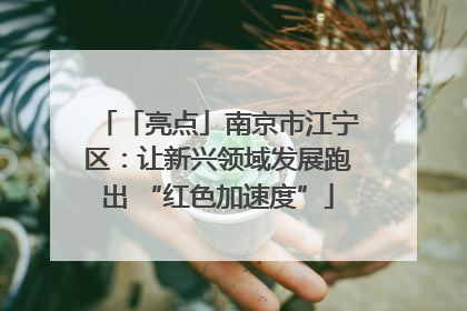 「亮点」南京市江宁区：让新兴领域发展跑出 “红色加速度”