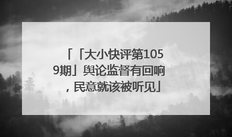 「大小快评第1059期」舆论监督有回响，民意就该被听见