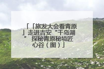 「旅发大会看青原」走进吉安“千岛湖” 探秘青原秘境匠心谷（图）