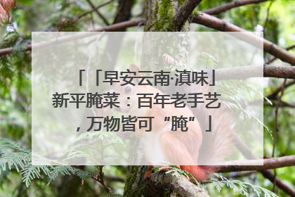 「早安云南·滇味」新平腌菜：百年老手艺，万物皆可“腌”