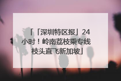 「深圳特区报」24小时！岭南荔枝乘专线 枝头直飞新加坡