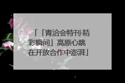 「青洽会特刊·精彩瞬间」高原心跳 在开放合作中澎湃