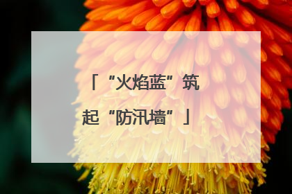 “火焰蓝”筑起“防汛墙”