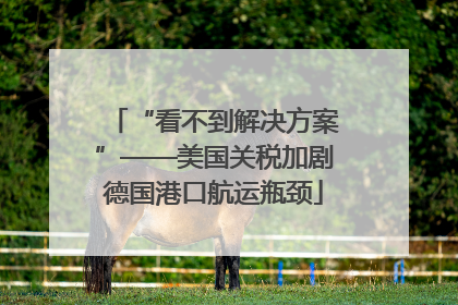 “看不到解决方案”——美国关税加剧德国港口航运瓶颈