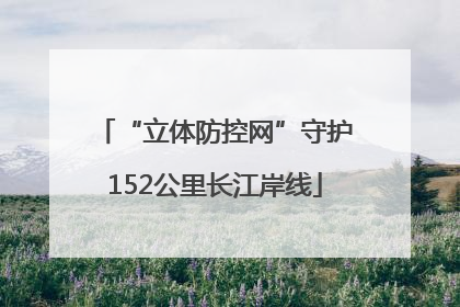 “立体防控网”守护152公里长江岸线