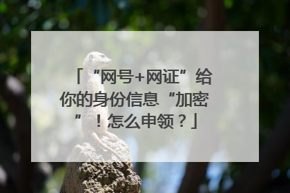 “网号+网证”给你的身份信息“加密”！怎么申领？