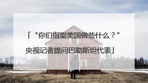 “你们指望美国做些什么？”央视记者提问巴勒斯坦代表