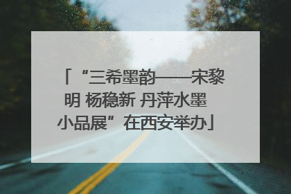 “三希墨韵——宋黎明 杨稳新 丹萍水墨小品展”在西安举办