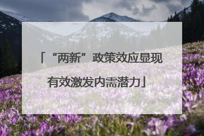 “两新”政策效应显现 有效激发内需潜力
