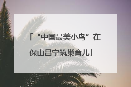 “中国最美小鸟”在保山昌宁筑巢育儿