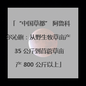 “中国草都” 阿鲁科尔沁旗：从野生牧草亩产 35 公斤到苜蓿草亩产 800 公斤以上