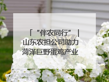 “伴农同行”｜山东农担公司助力菏泽巨野蛋鸡产业高质量发展
