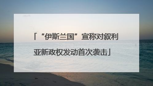 “伊斯兰国”宣称对叙利亚新政权发动首次袭击