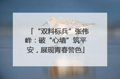 “双料标兵”张伟峰：破“心墙”筑平安，展现青春警色