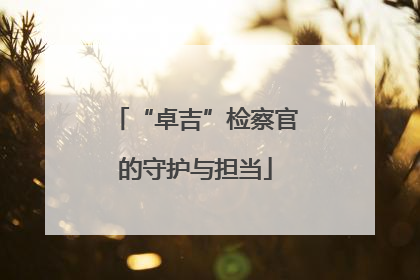 “卓吉”检察官的守护与担当