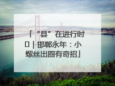 “县”在进行时⑬｜邯郸永年：小螺丝出圈有奇招