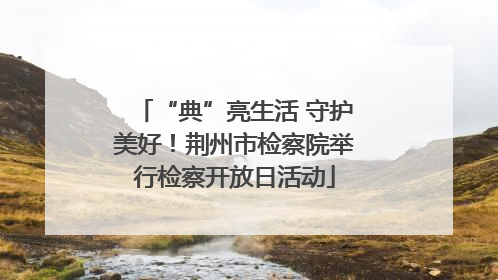 “典”亮生活 守护美好！荆州市检察院举行检察开放日活动