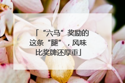 “六马”奖励的这条“腿”，风味比奖牌还厚重
