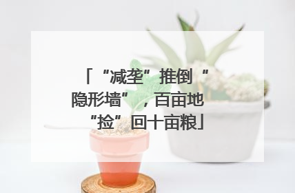 “减垄”推倒“隐形墙”，百亩地“捡”回十亩粮