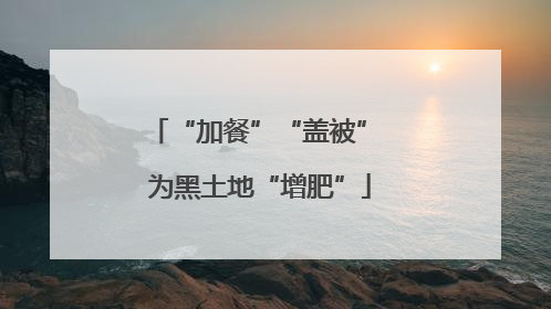 “加餐”“盖被” 为黑土地“增肥”