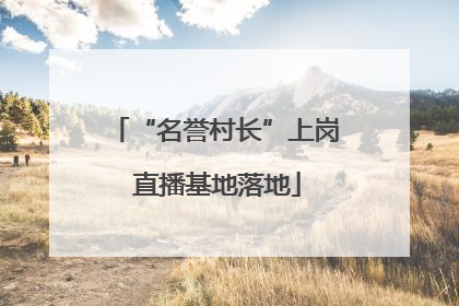 “名誉村长”上岗 直播基地落地