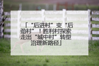 “后进村”变“后劲村”！胜利村探索走出“城中村”转型治理新路径