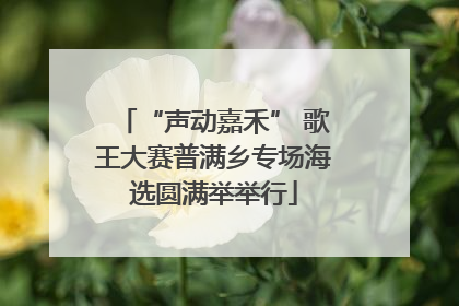 “声动嘉禾” 歌王大赛普满乡专场海选圆满举举行