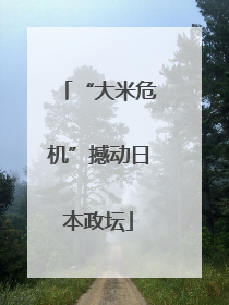 “大米危机”撼动日本政坛