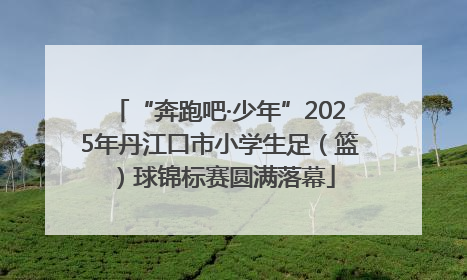 “奔跑吧·少年”2025年丹江口市小学生足（篮）球锦标赛圆满落幕