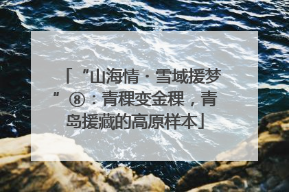 “山海情・雪域援梦”⑧：青稞变金稞，青岛援藏的高原样本