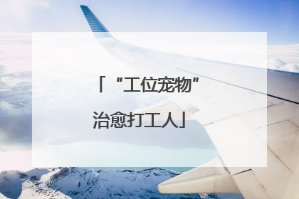 “工位宠物”治愈打工人