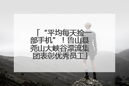 “平均每天捡一部手机”！鲁山县尧山大峡谷漂流集团表彰优秀员工