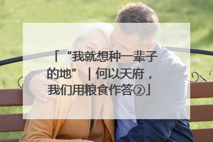 “我就想种一辈子的地”｜何以天府，我们用粮食作答②