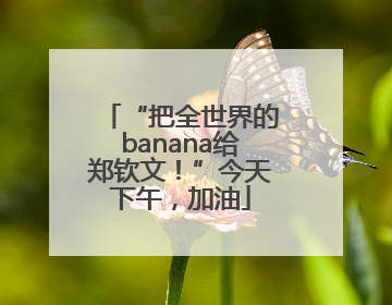 “把全世界的banana给郑钦文！”今天下午，加油