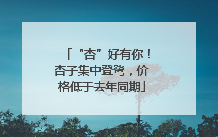 “杏”好有你！杏子集中登鹭，价格低于去年同期
