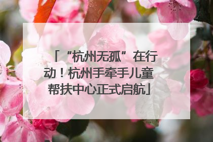 “杭州无孤”在行动！杭州手牵手儿童帮扶中心正式启航