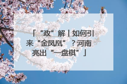 “政”解丨如何引来“金凤凰”？河南亮出“一盘棋”