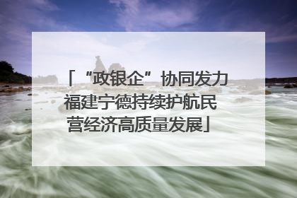 “政银企”协同发力 福建宁德持续护航民营经济高质量发展