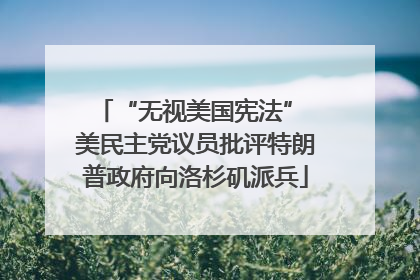 “无视美国宪法” 美民主党议员批评特朗普政府向洛杉矶派兵