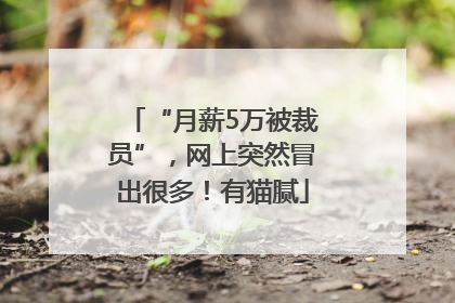 “月薪5万被裁员”，网上突然冒出很多！有猫腻