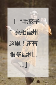 “毛孩子”亮相福州这里！还有很多福利……
