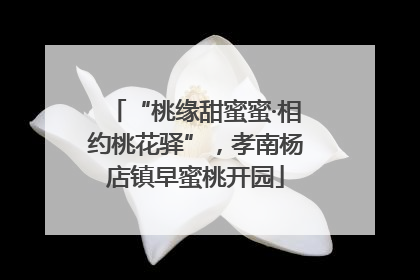 “桃缘甜蜜蜜·相约桃花驿”，孝南杨店镇早蜜桃开园