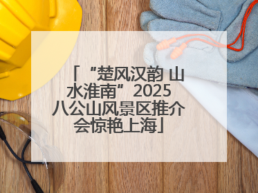 “楚风汉韵 山水淮南”2025八公山风景区推介会惊艳上海