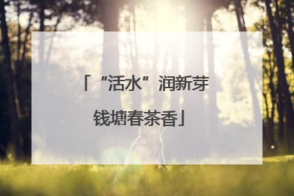 “活水”润新芽 钱塘春茶香
