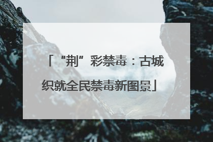 “荆”彩禁毒：古城织就全民禁毒新图景