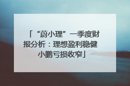 “蔚小理”一季度财报分析：理想盈利稳健 小鹏亏损收窄