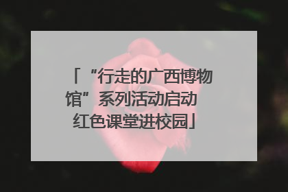 “行走的广西博物馆”系列活动启动 红色课堂进校园